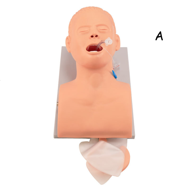 Medical Lab Management - Model Pengajaran Manekin Intubasi Dewasa PVC,