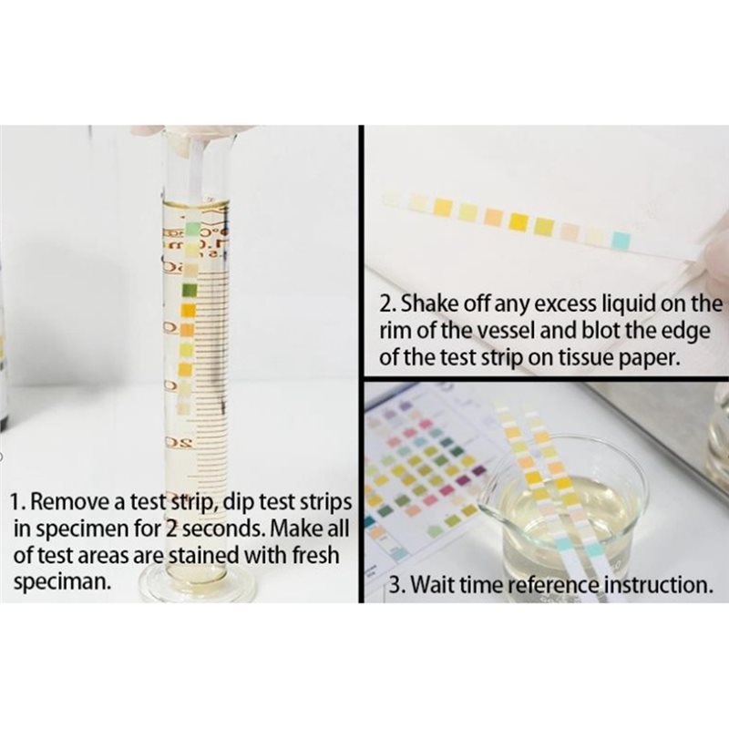 VELIF-Alat Penguji Pemantauan  - Urinalysis Reagent Strip ulasan dan harga