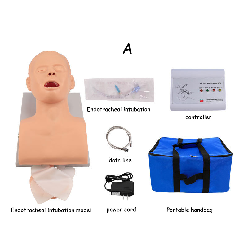 Model Pengajaran Manekin Intub - Medical Lab Management ulasan dan harga