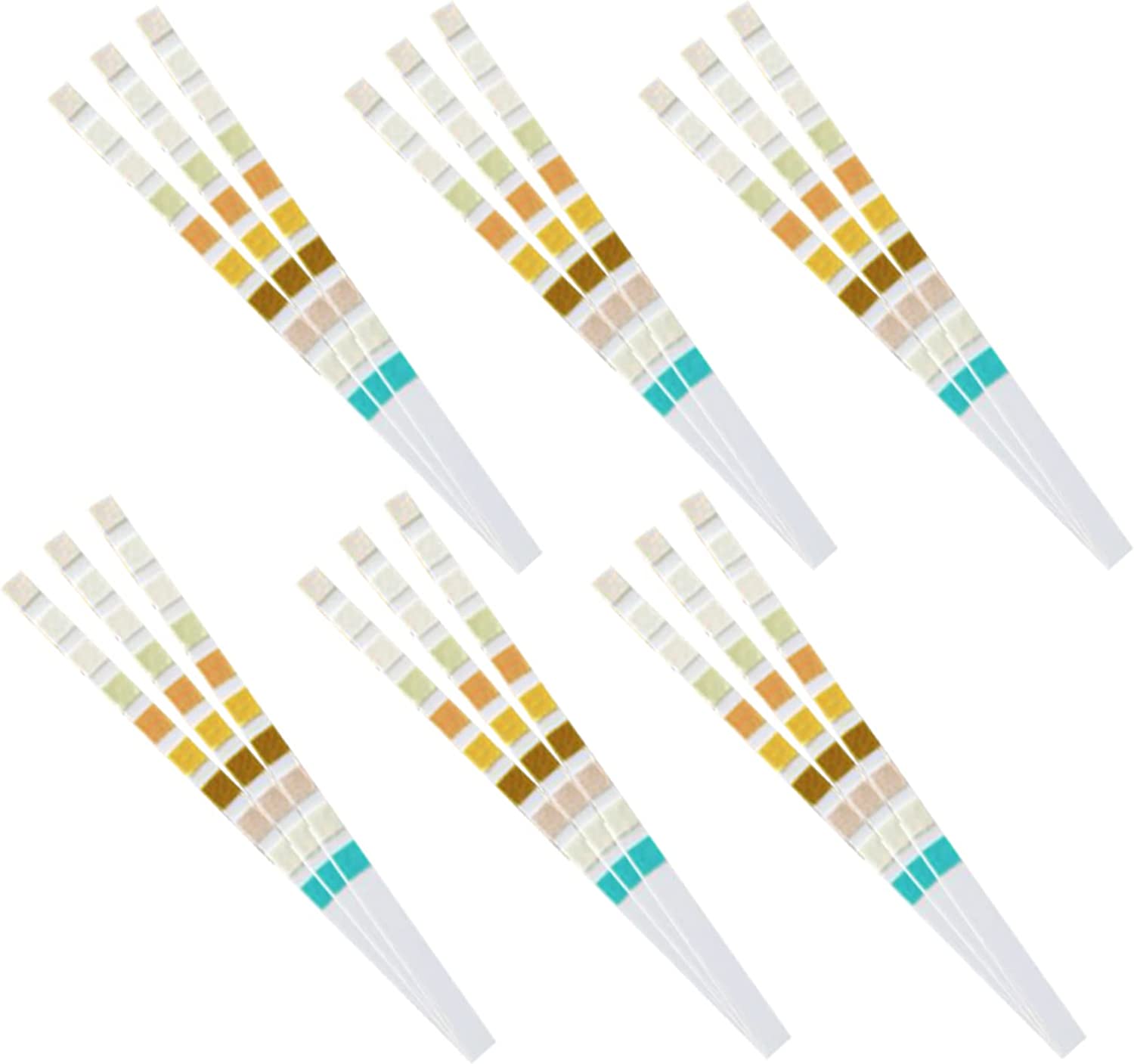 URS-10T strip tes urin 10 para - Urinalysis Reagent Strip ulasan dan harga