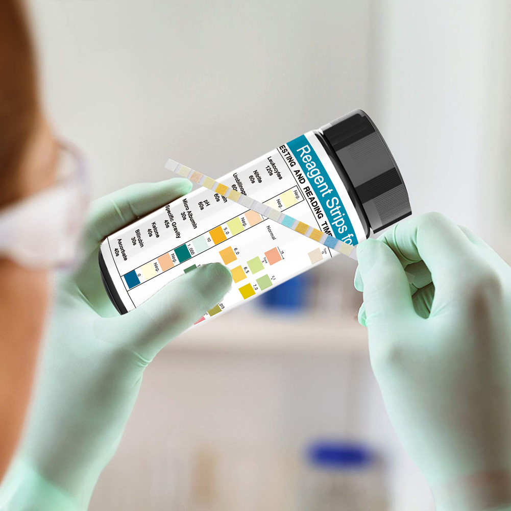 100 Strip Strip tes urin 10 pa - Urinalysis Reagent Strip ulasan dan harga