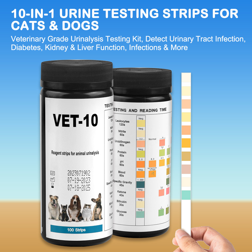 Parameter 10-strip tes urin ku - Urinalysis Reagent Strip ulasan dan harga