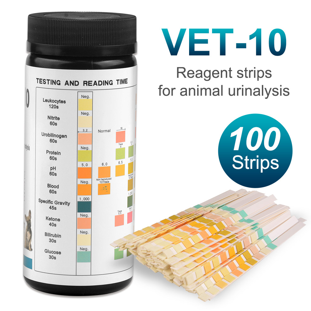 Parameter 10-strip tes urin ku - Urinalysis Reagent Strip ulasan dan harga